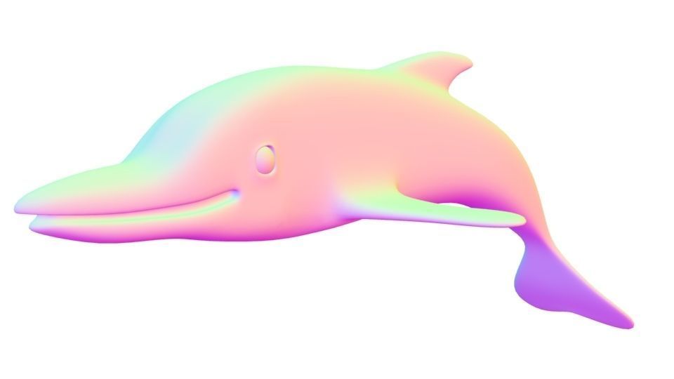 Dolphin 3d model 3D model_19