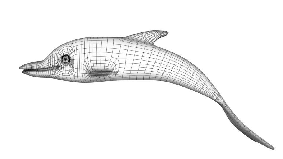 Dolphin 3d model 3D model_16