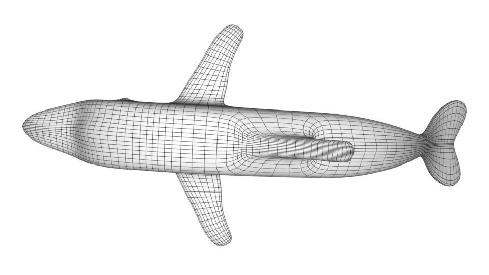 Dolphin 3d model 3D model_18
