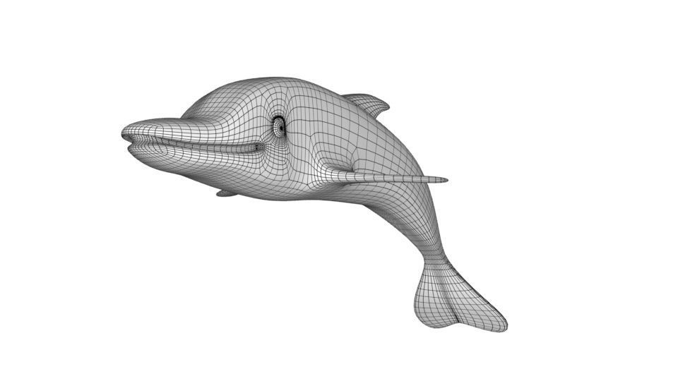 Dolphin 3d model 3D model_14