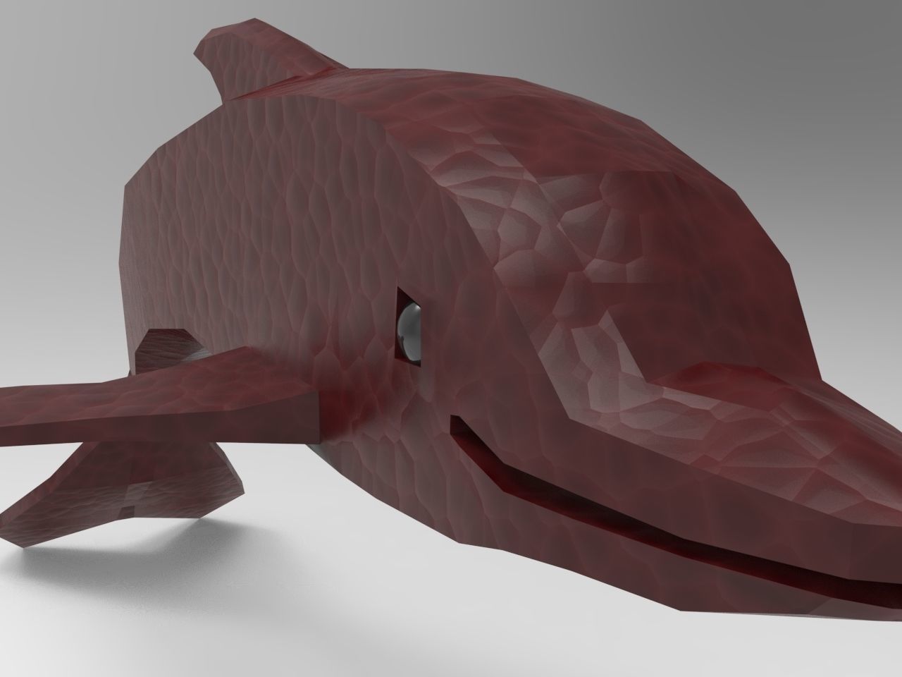 Dolphin 3d model 3D model_5