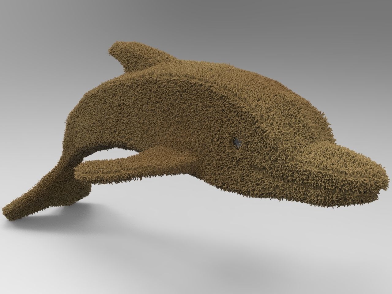 Dolphin 3d model 3D model_4