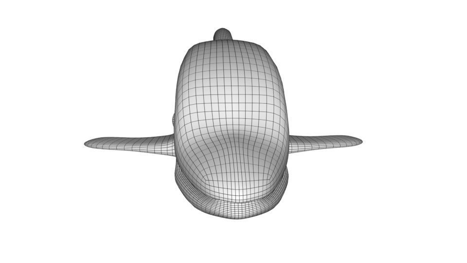 Dolphin 3d model 3D model_17