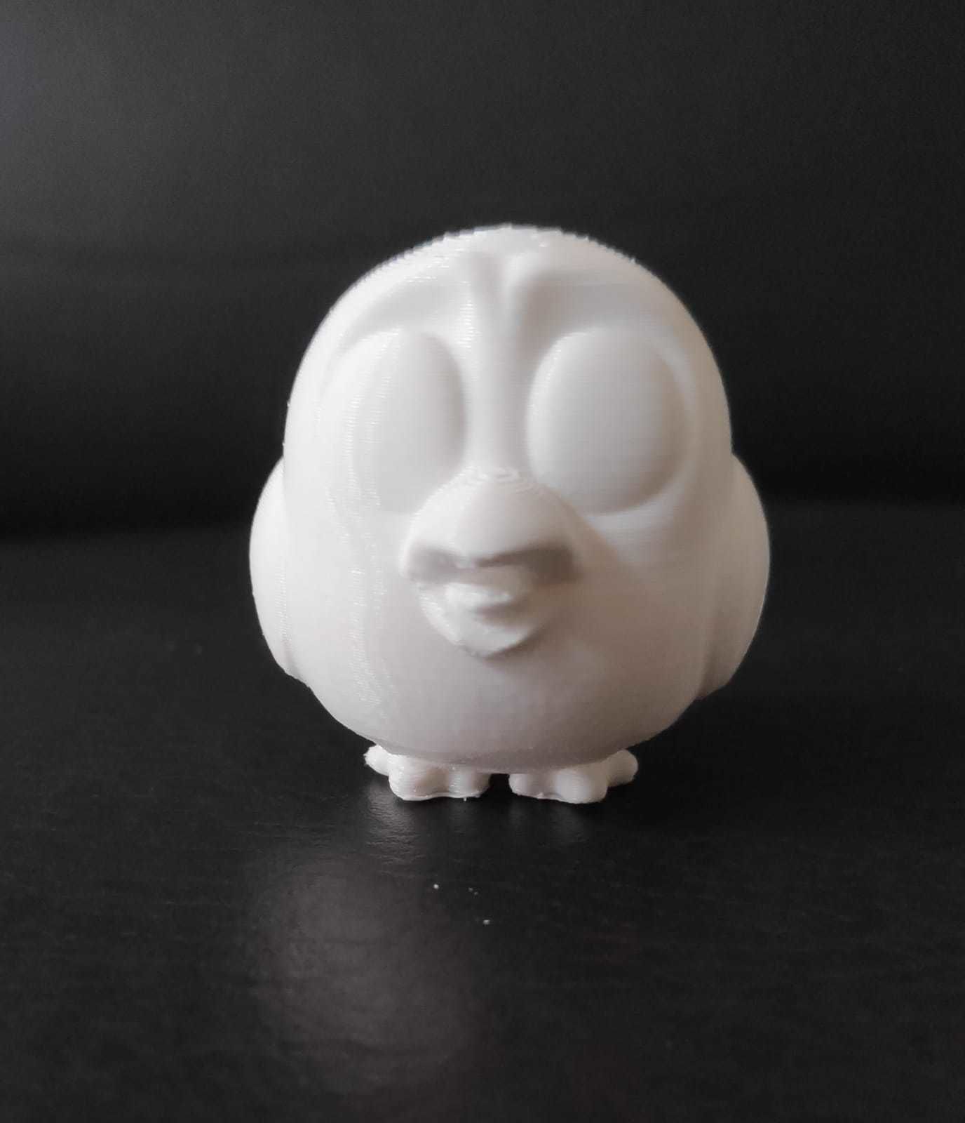 Scared Bird 3D print model_10