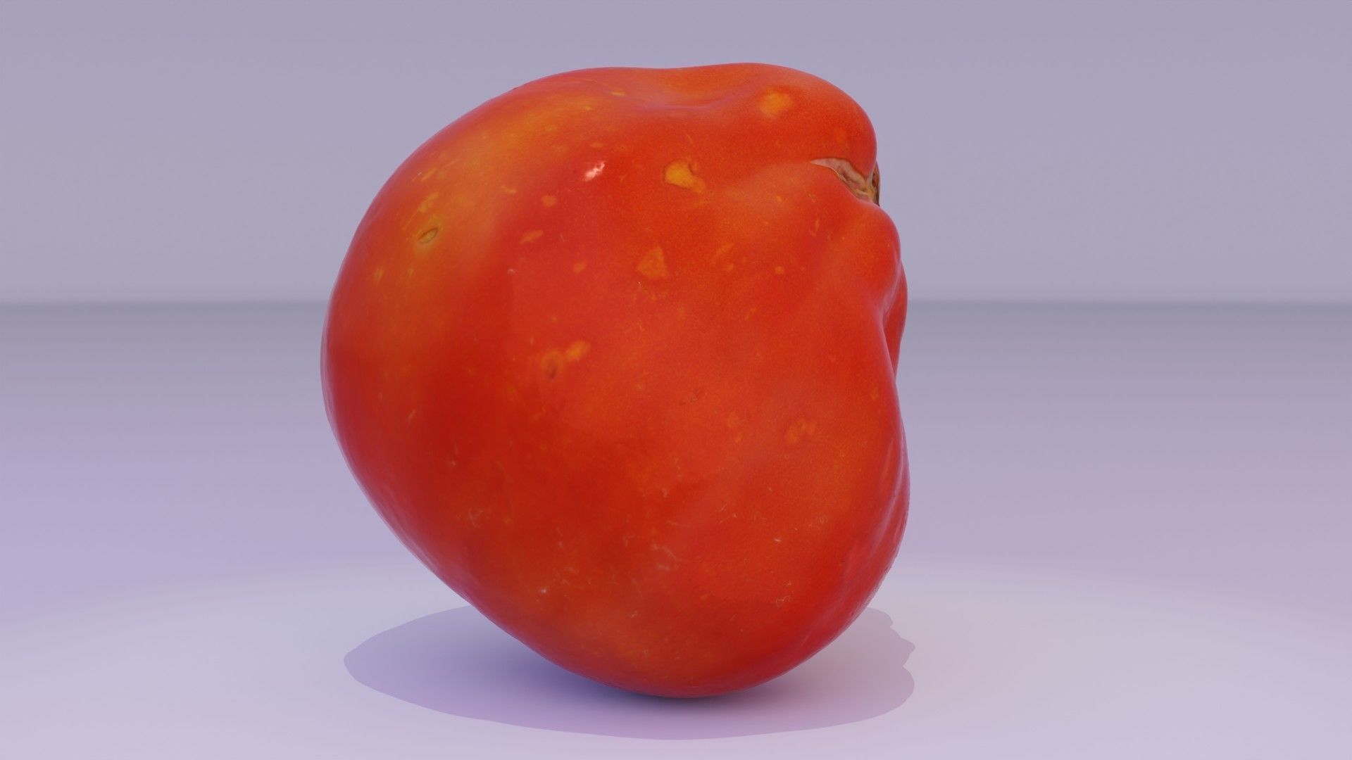 Tomato 05 high-poly 3D model_13