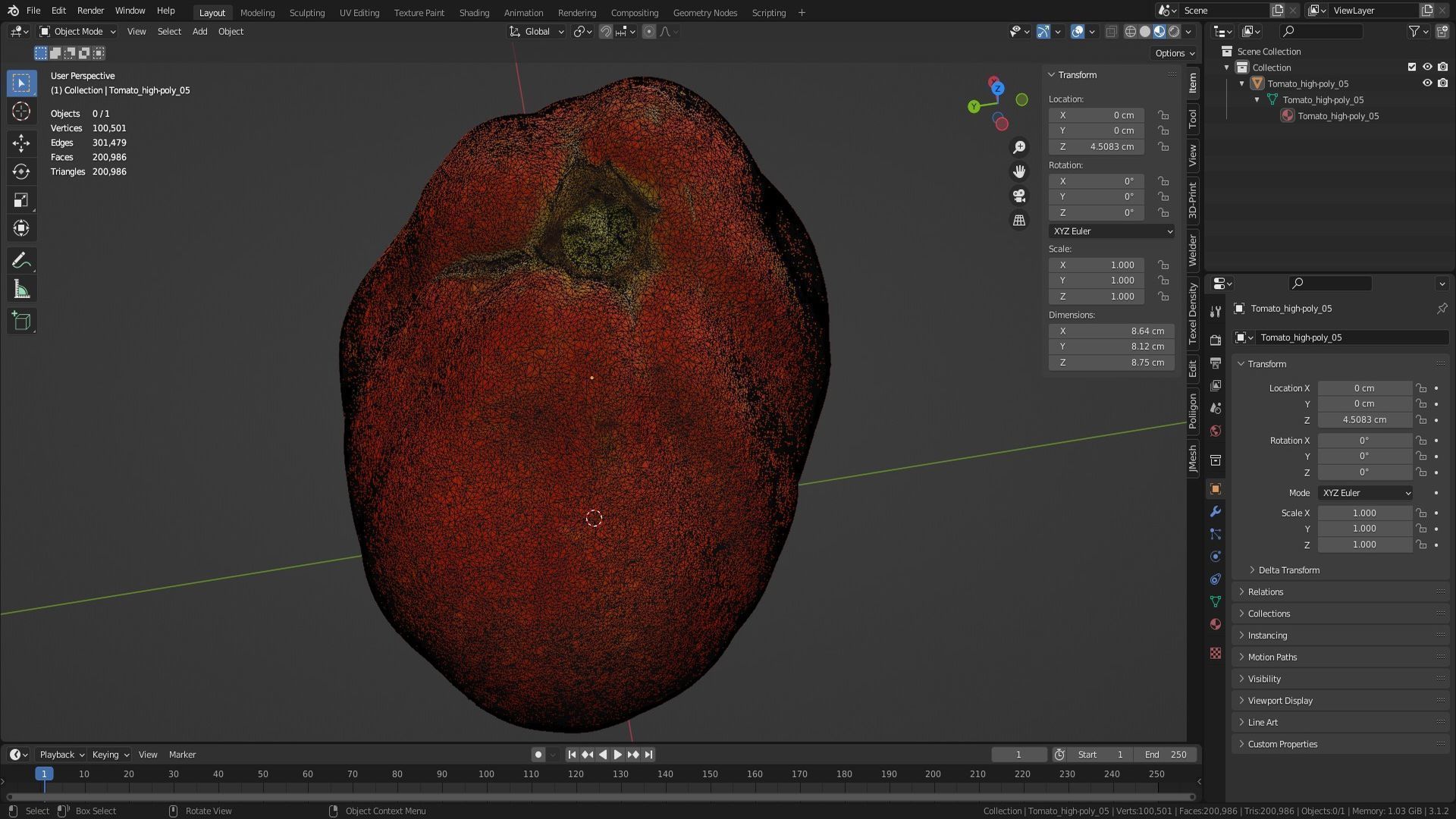 Tomato 05 high-poly 3D model_35
