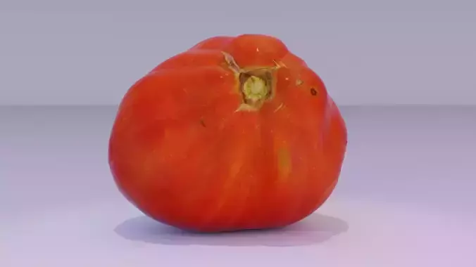 Tomato 05 high-poly