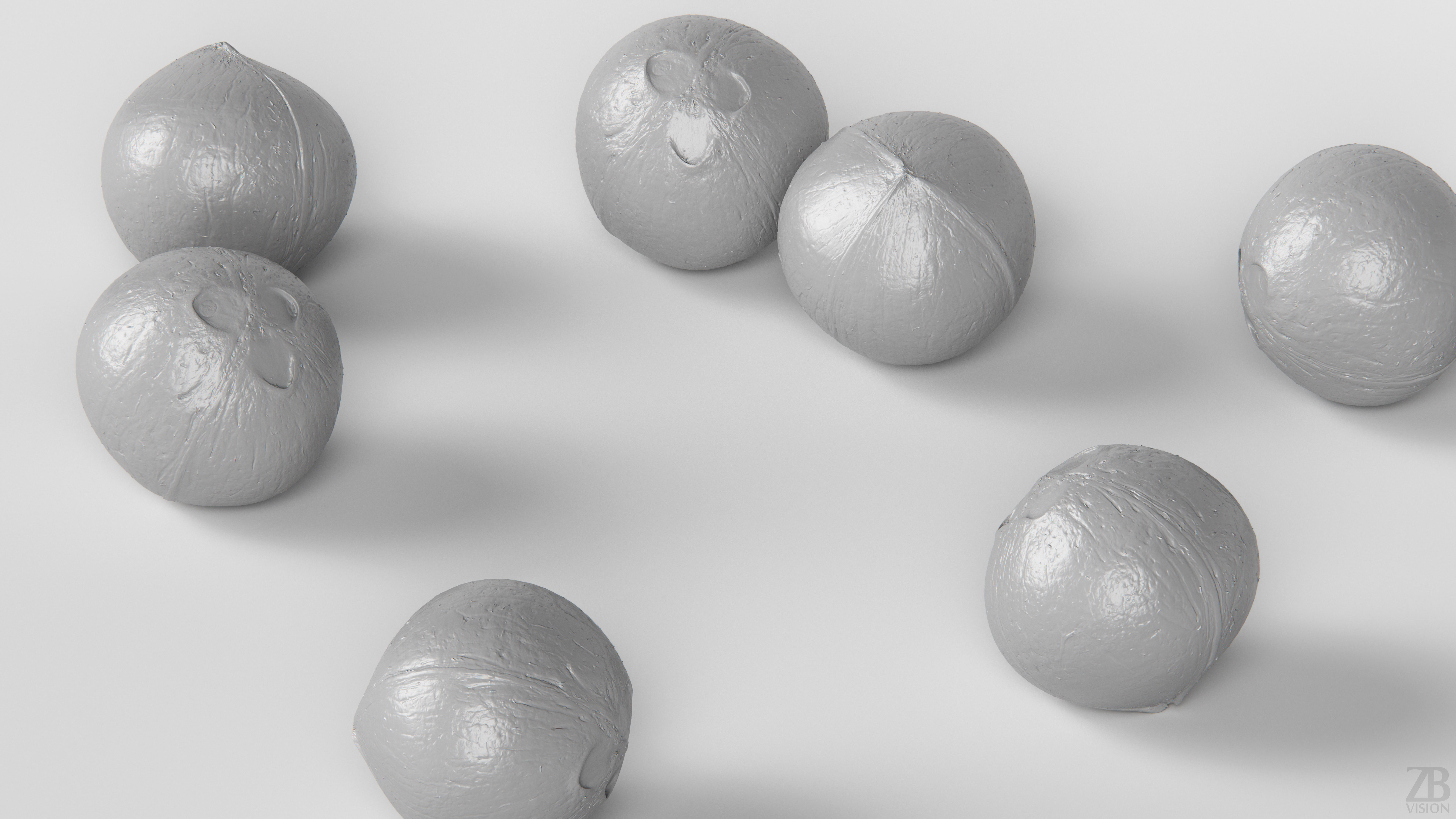 Coconut 3D model_3