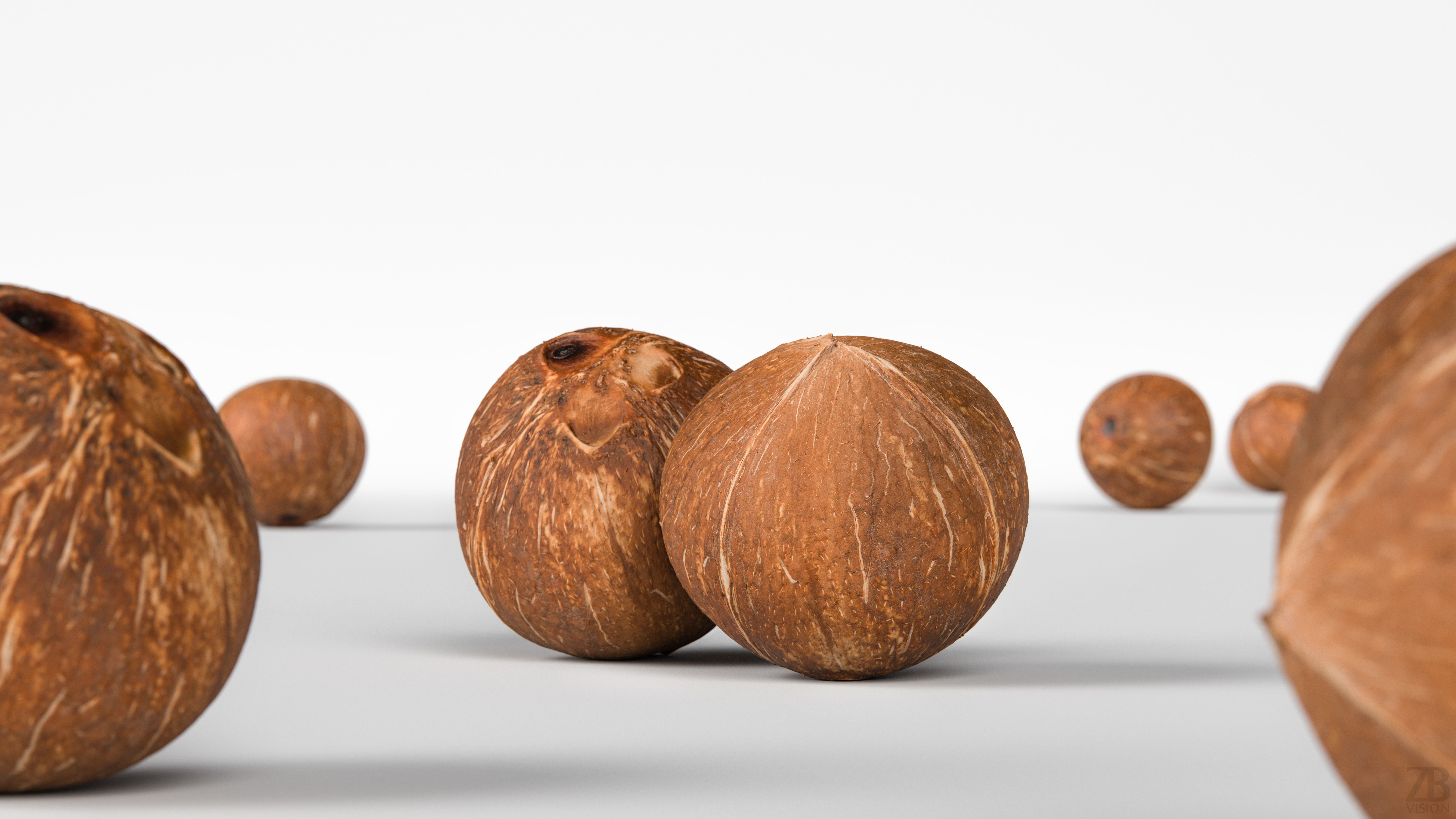Coconut 3D model_1