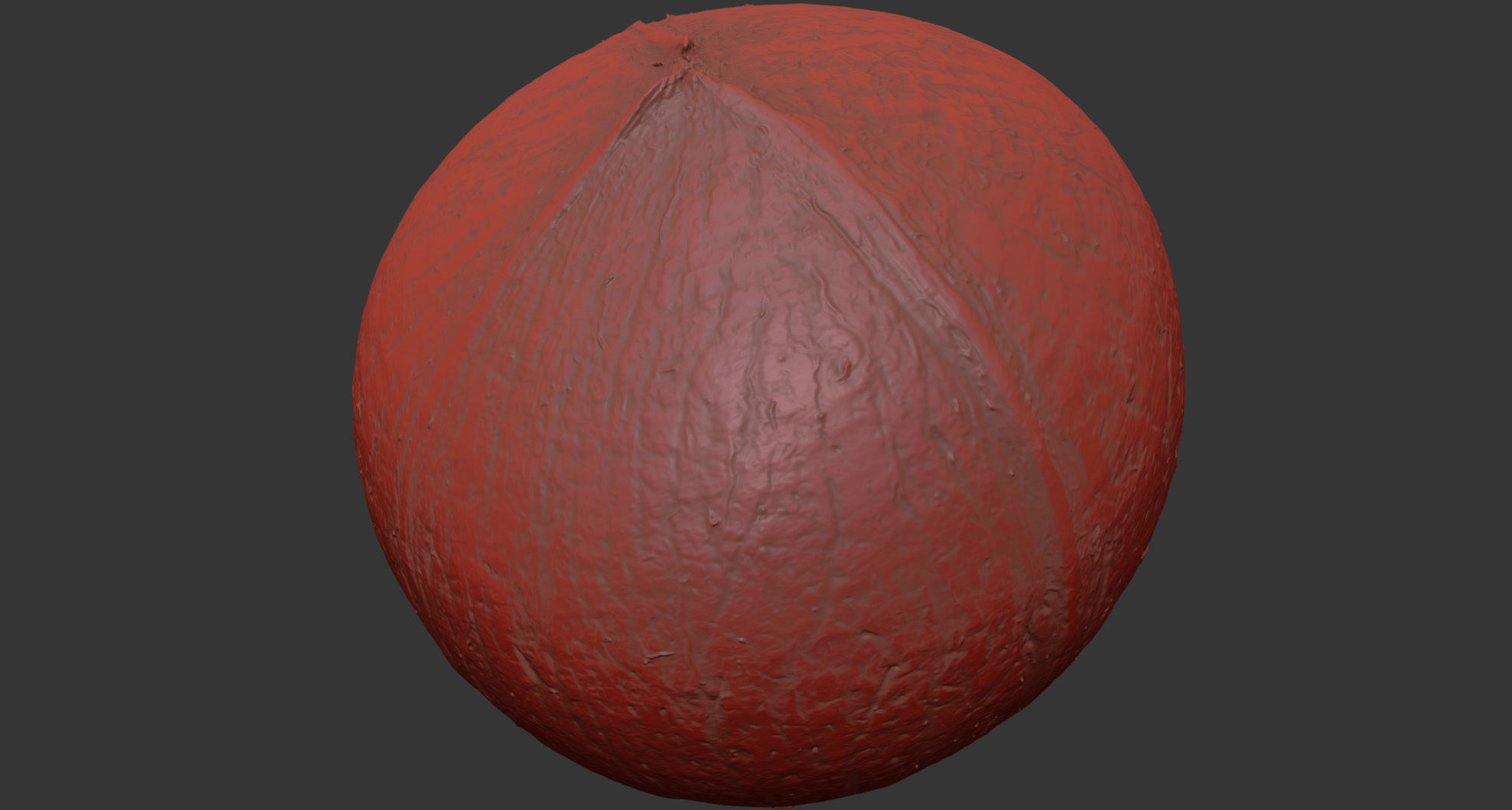 Coconut 3D model_7