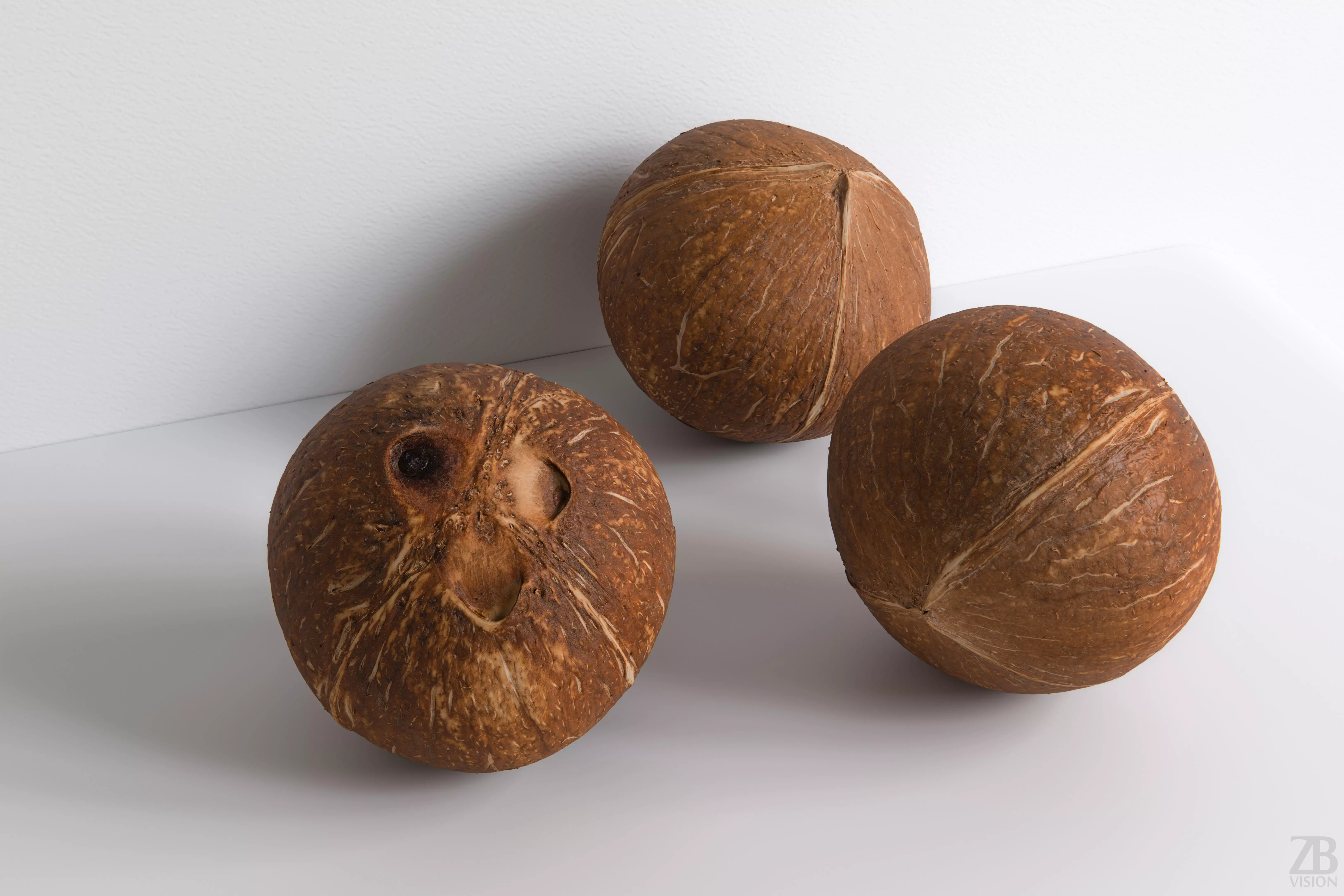 Coconut 3D model_0