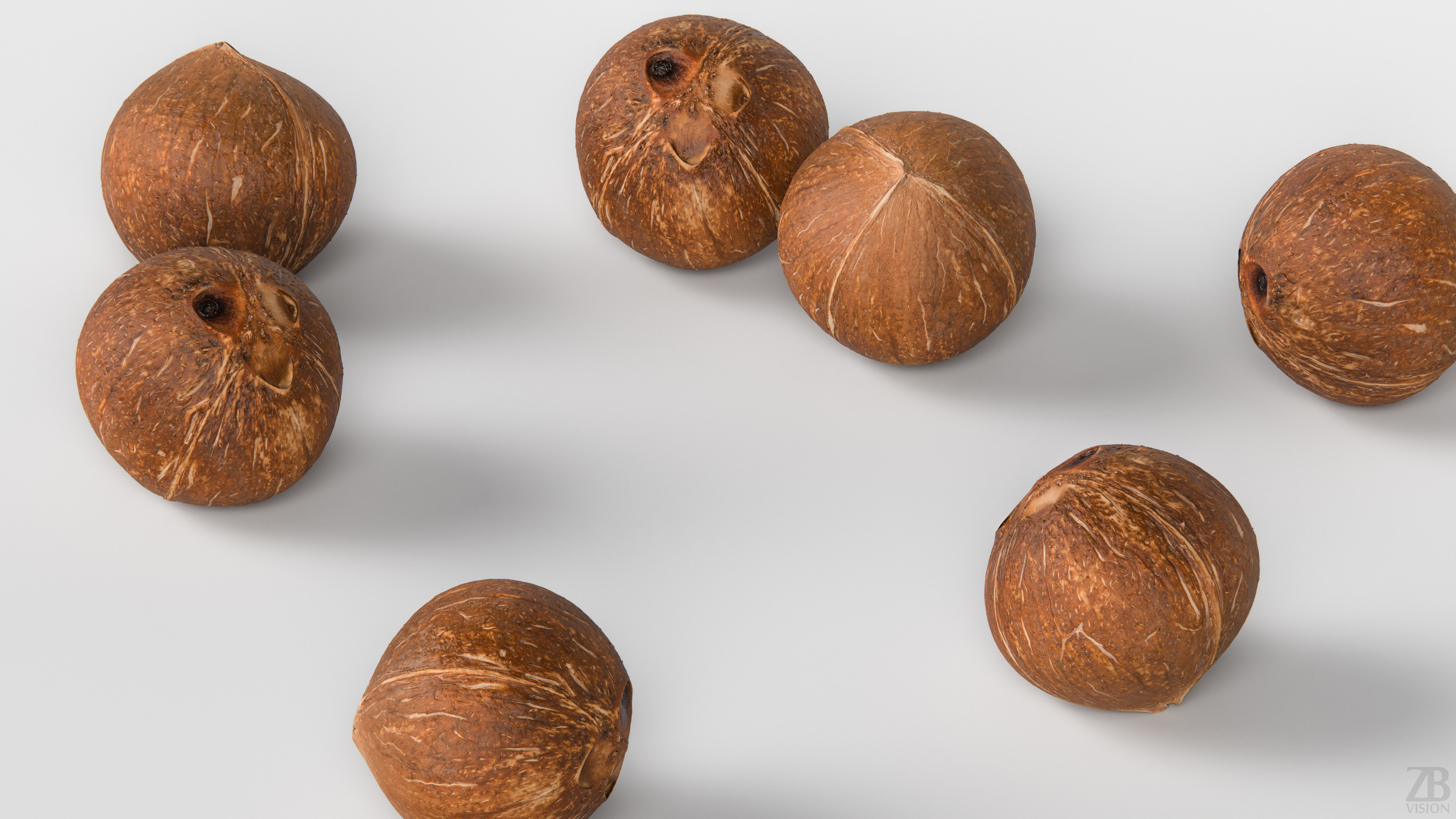 Coconut 3D model_2