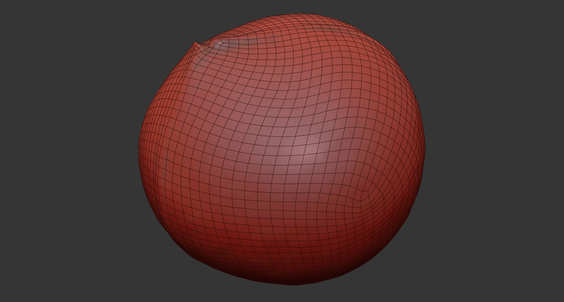 Coconut 3D model_6
