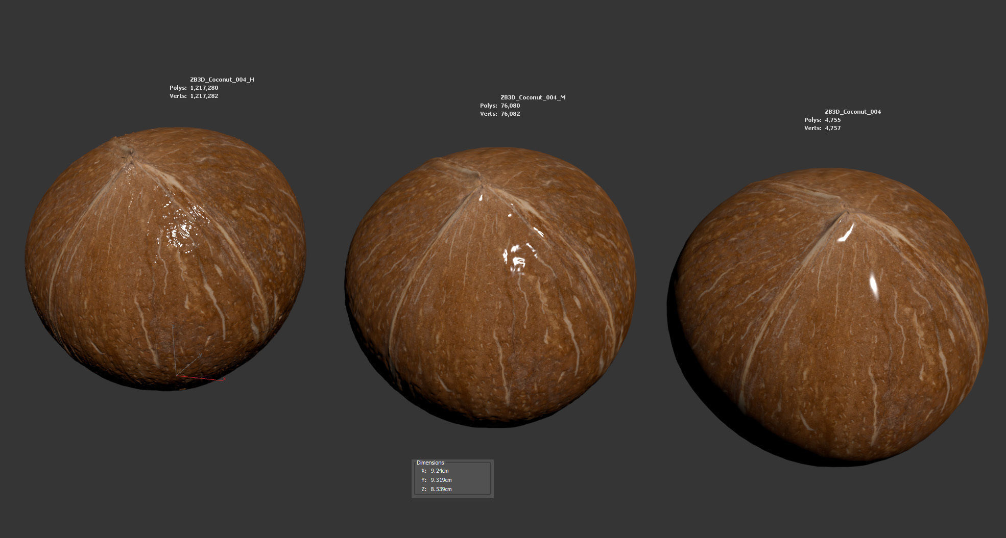 Coconut 3D model_5