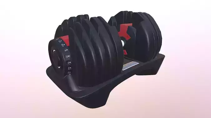 Adjustable Dumbbell 3D model