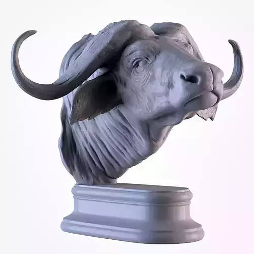 Buffalo African Head  3D print model