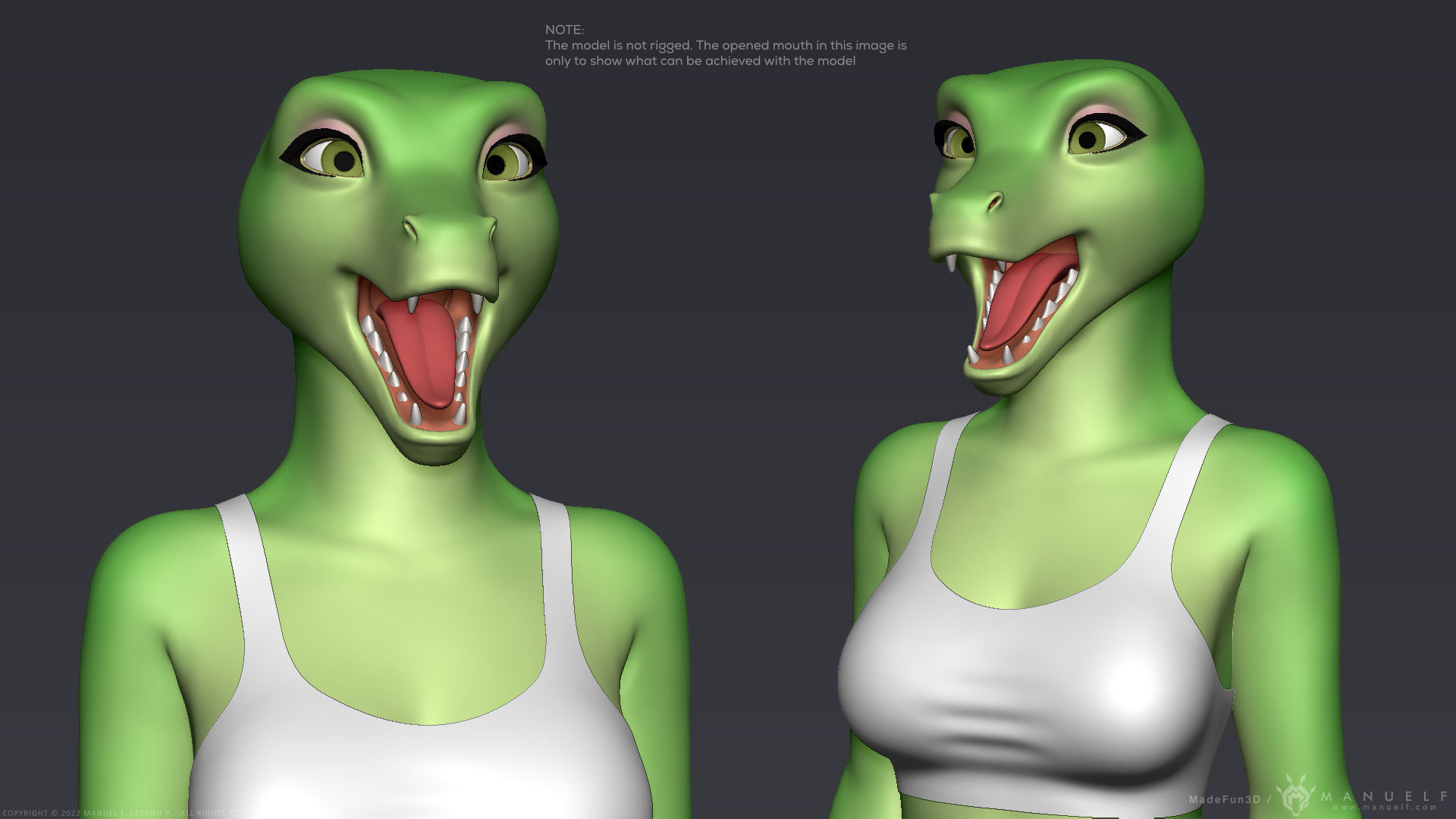 Furry Scalie Lizard Girl 3D model_21