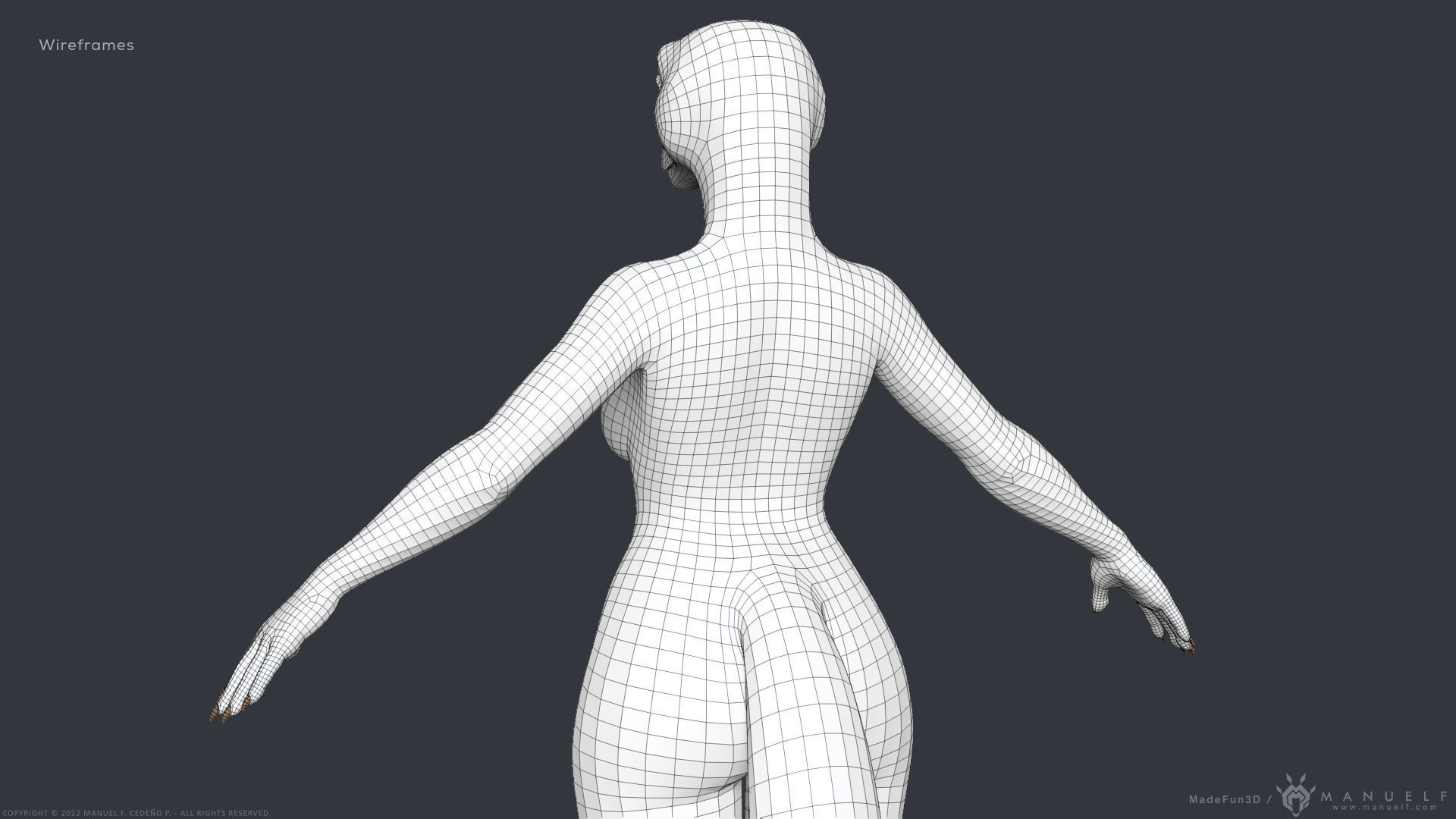 Furry Scalie Lizard Girl 3D model_28