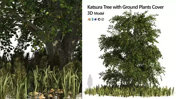 Japanese Cercidiphyllum tree with green plants set 3D model