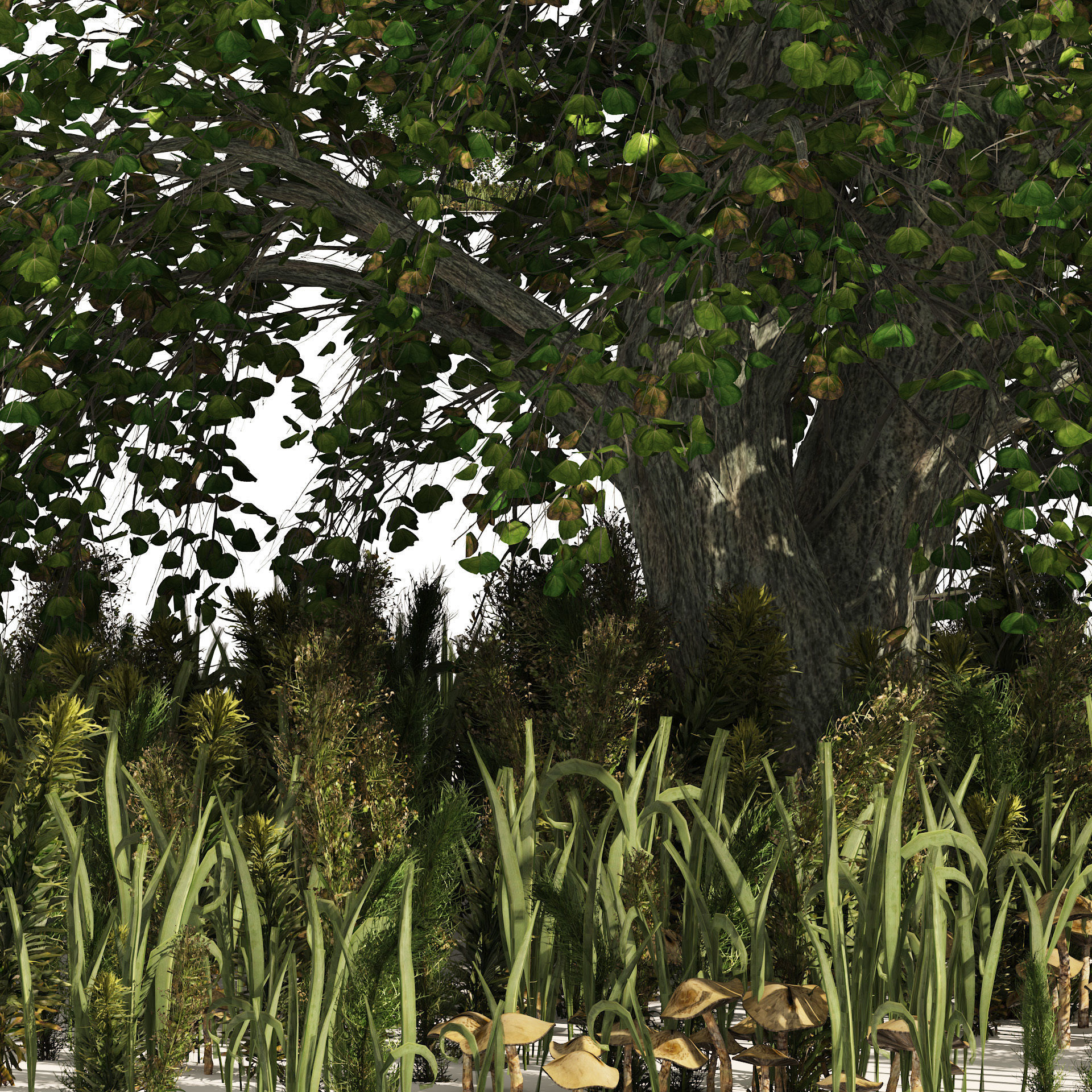 Japanese Cercidiphyllum tree with green plants set 3D model_1