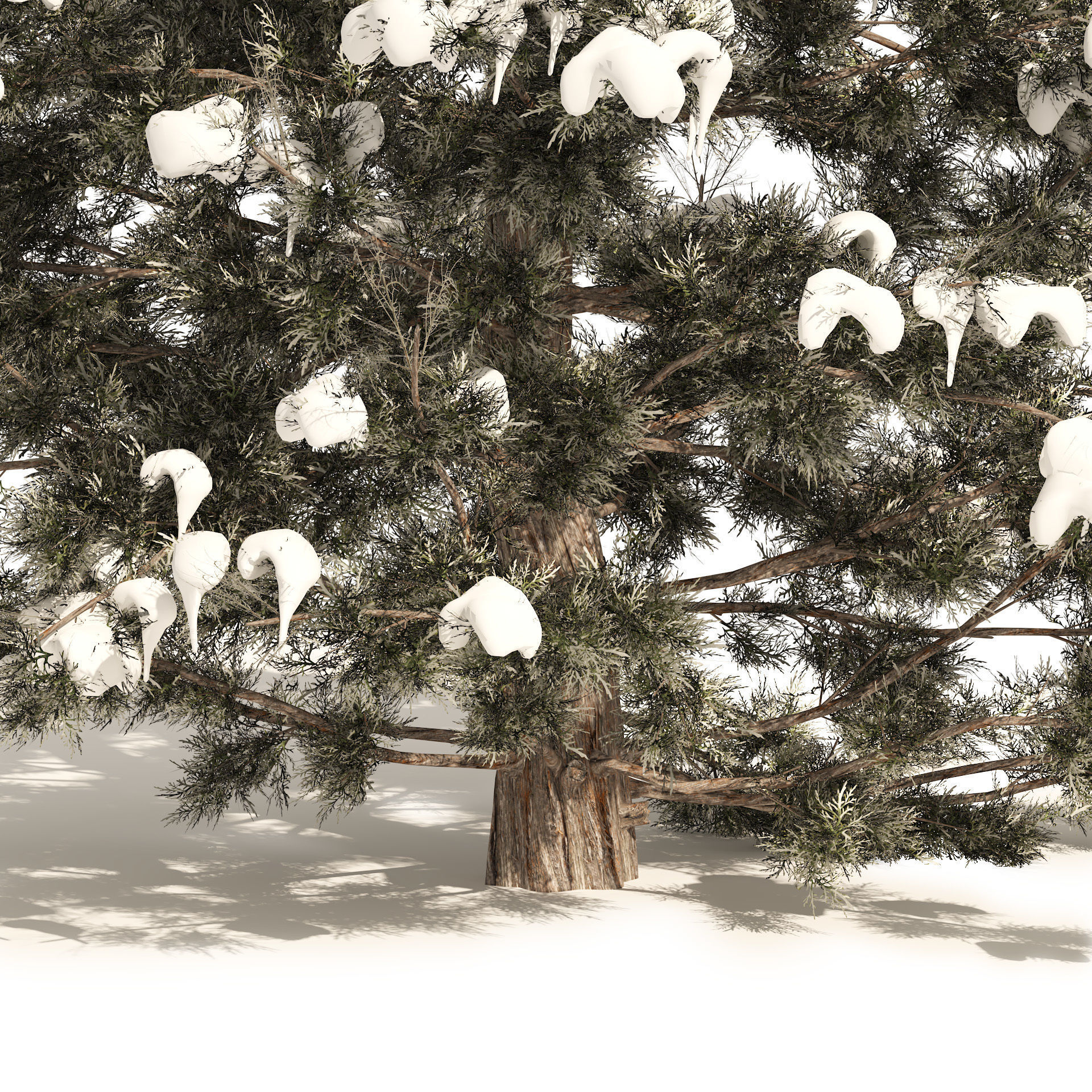 Winter Juniperus virginiana with snow Low-poly 3D model_1