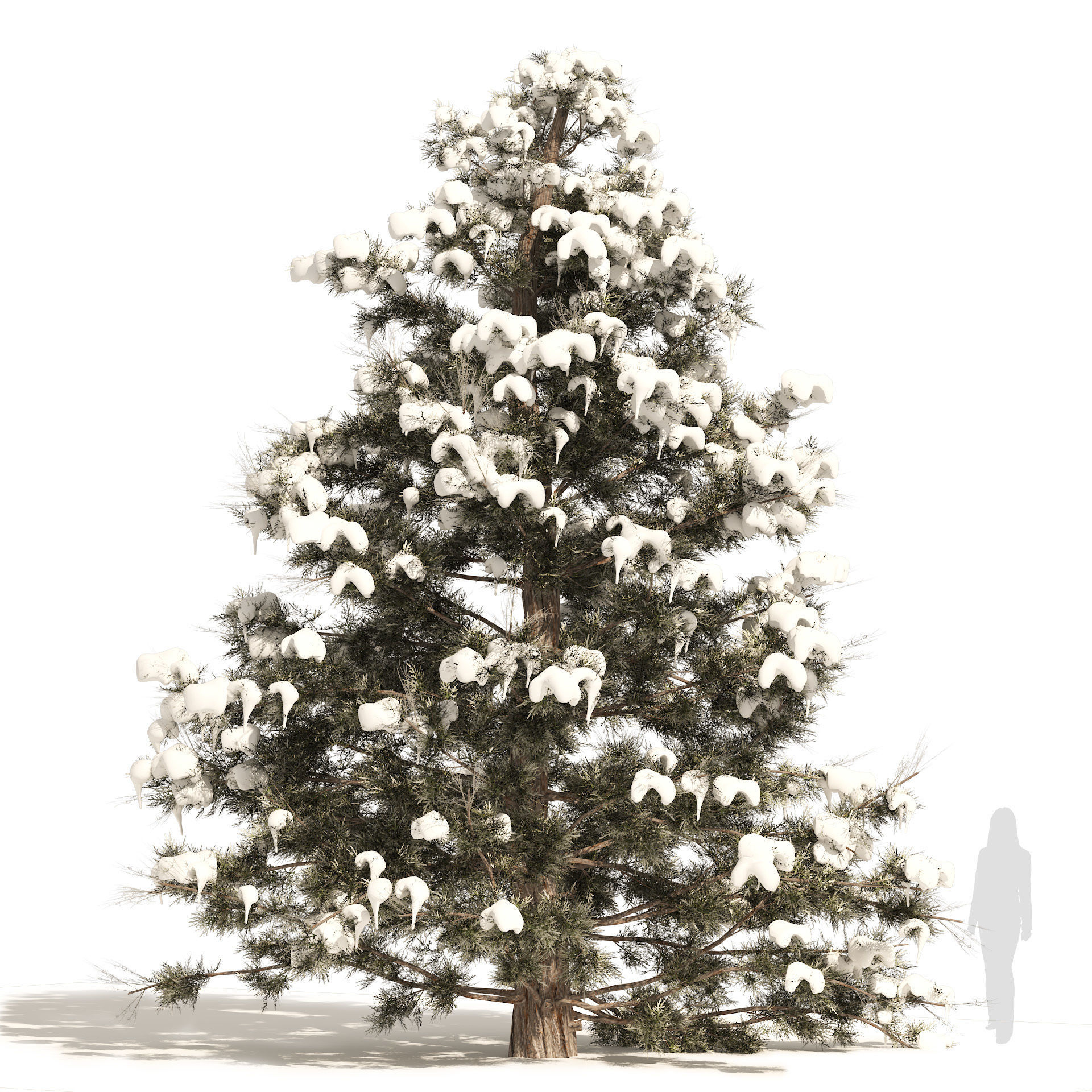 Winter Juniperus virginiana with snow Low-poly 3D model_5