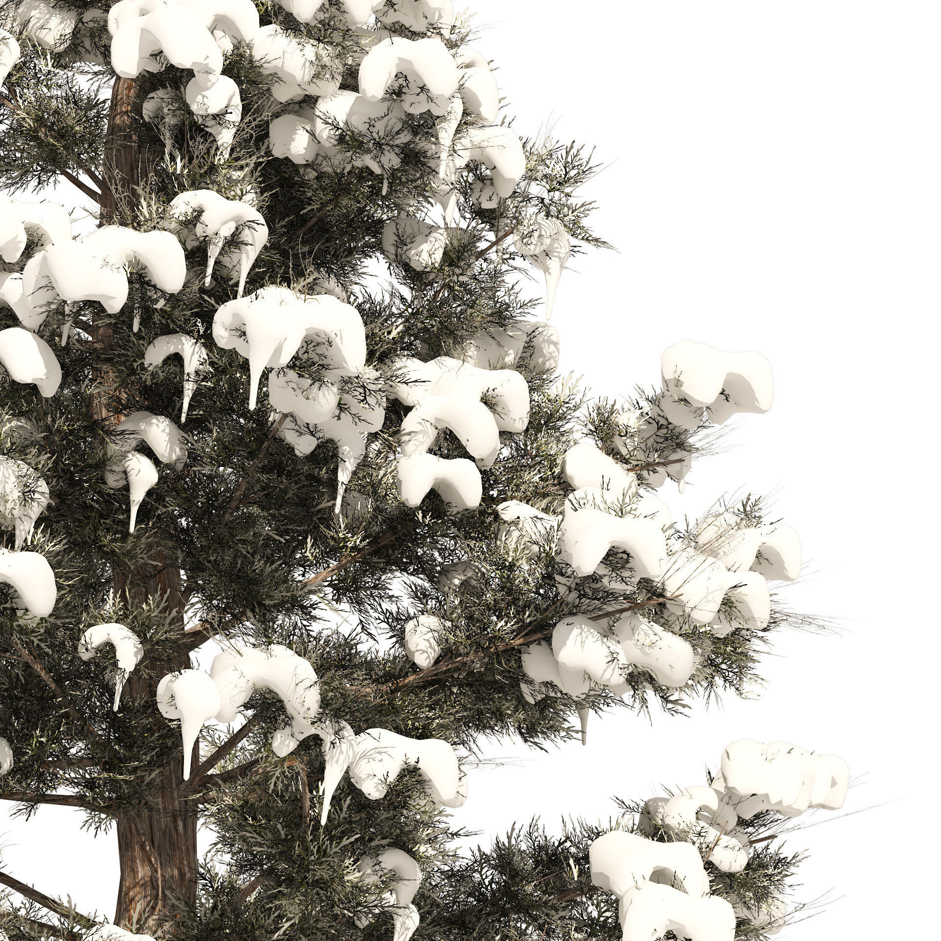 Winter Juniperus virginiana with snow Low-poly 3D model_3