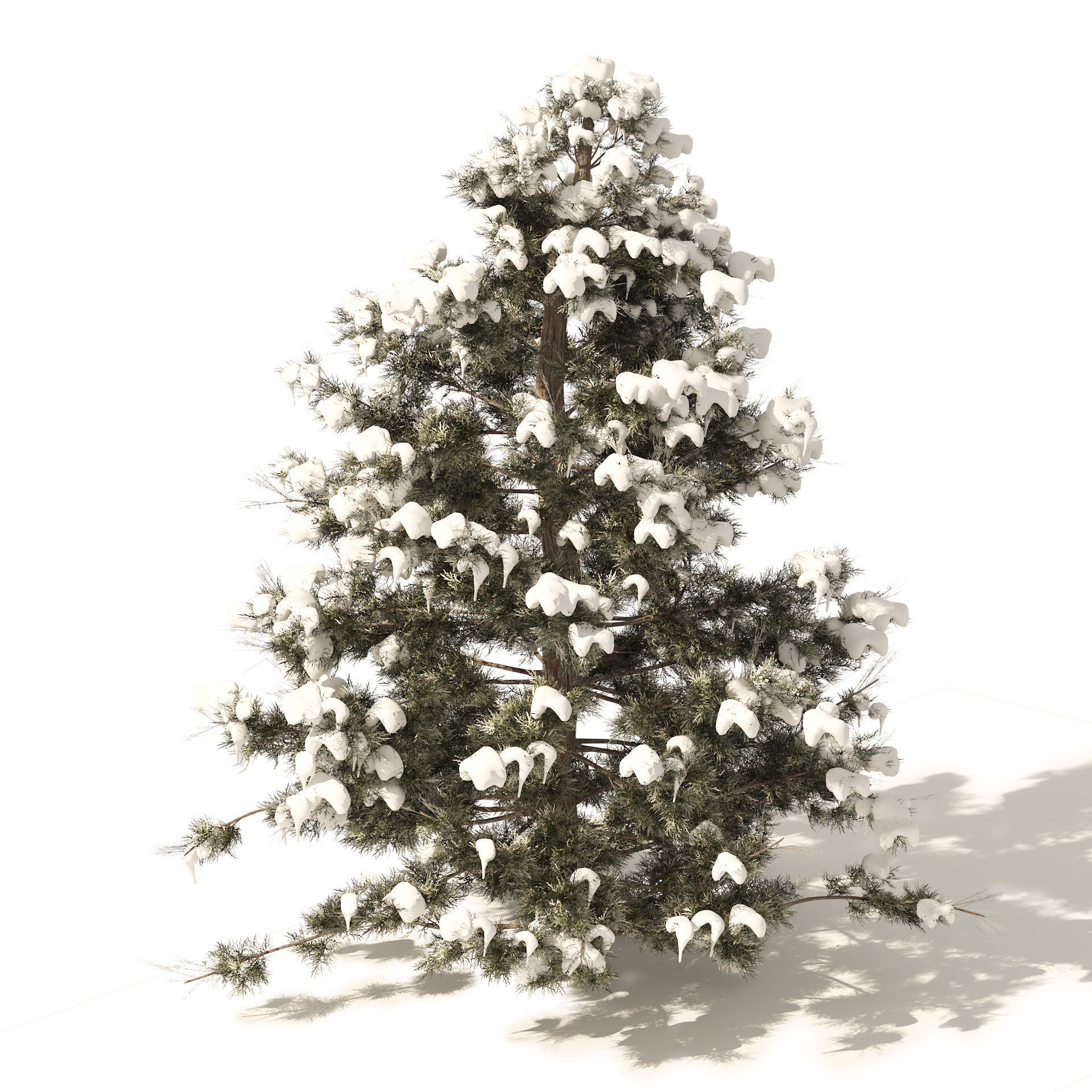 Winter Juniperus virginiana with snow Low-poly 3D model_2