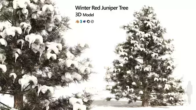 Winter Juniperus virginiana with snow Low-poly 3D model