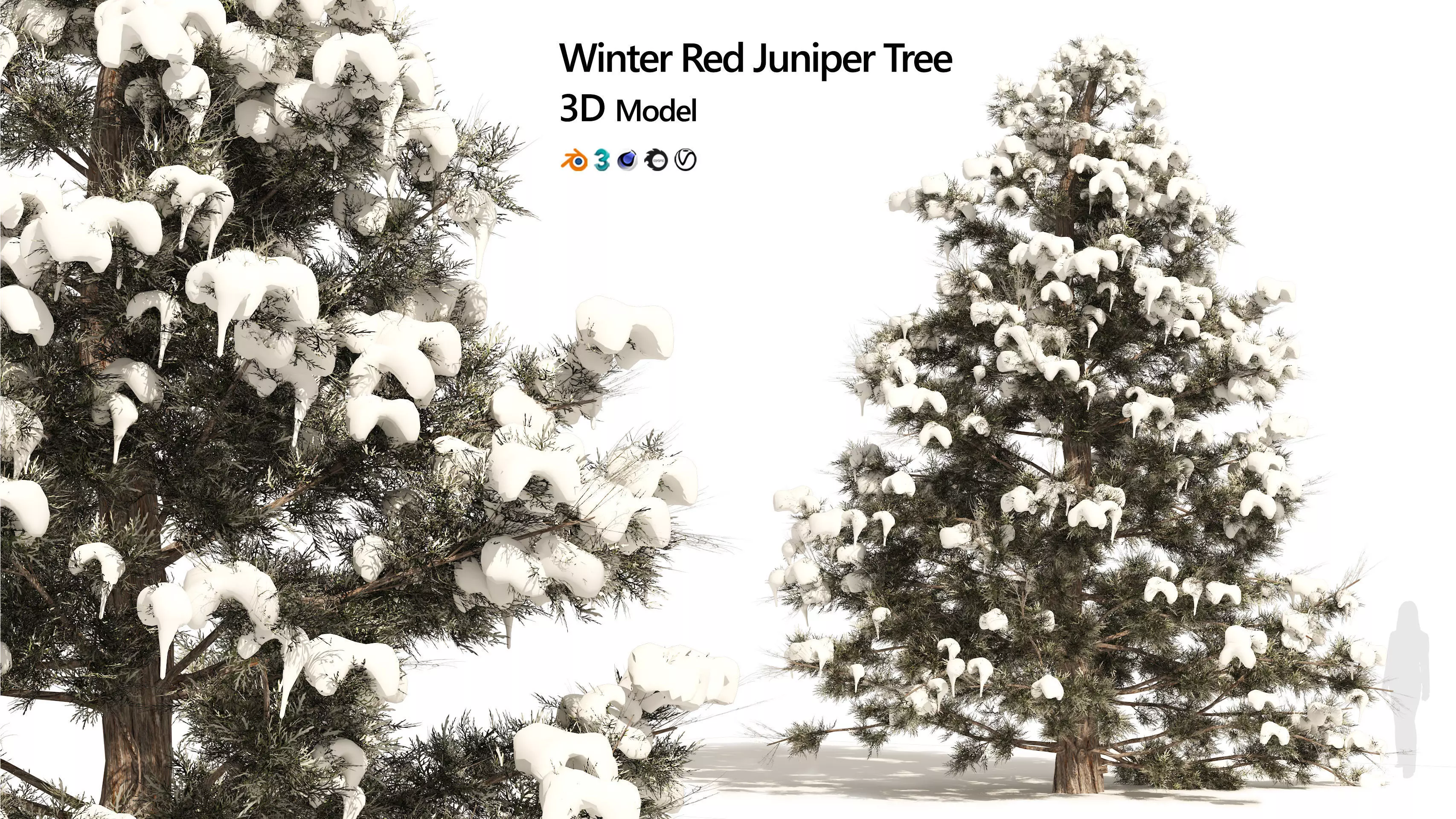 Winter Juniperus virginiana with snow Low-poly 3D model_0