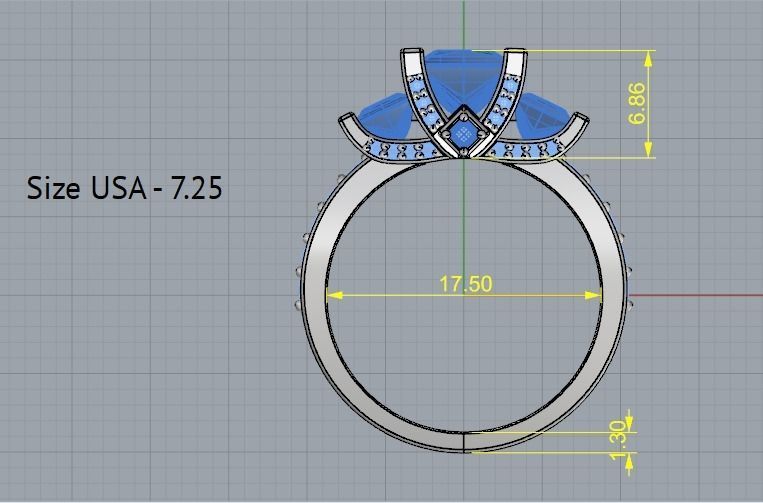 Ring Model 2238 3D print model_5