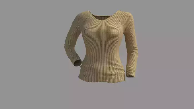 Women Long Sleeve V Neck T-Shirt