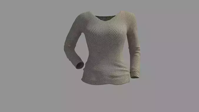 Women Long Sleeve V Neck T-Shirt