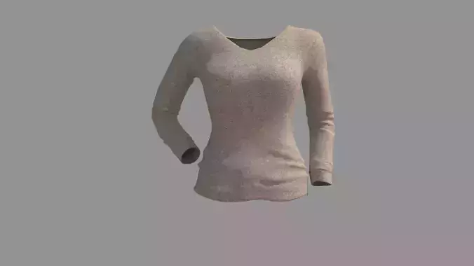 Women Long Sleeve V Neck T-Shirt