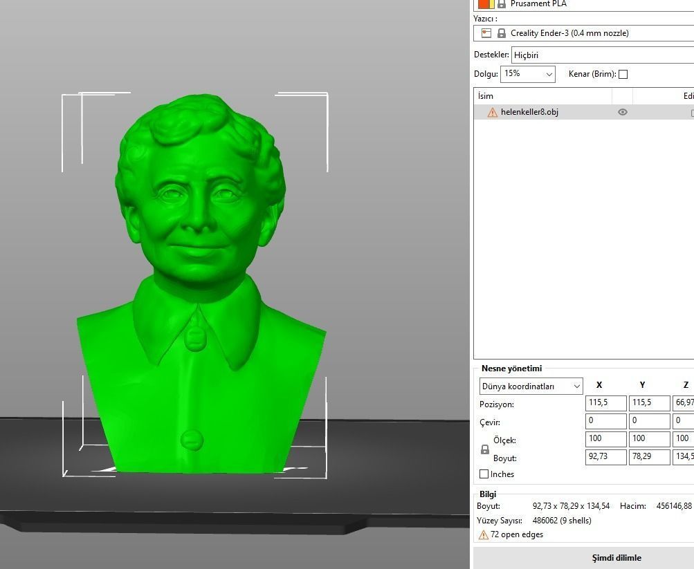 Helen Keller 3D print model_10