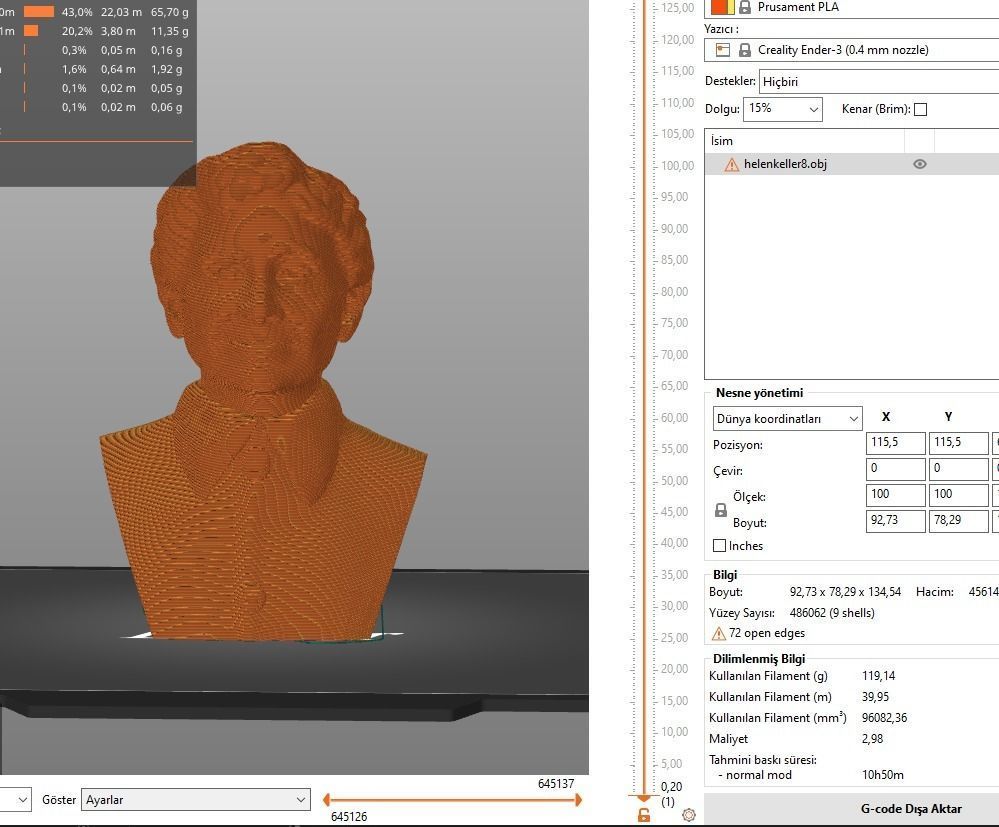 Helen Keller 3D print model_14