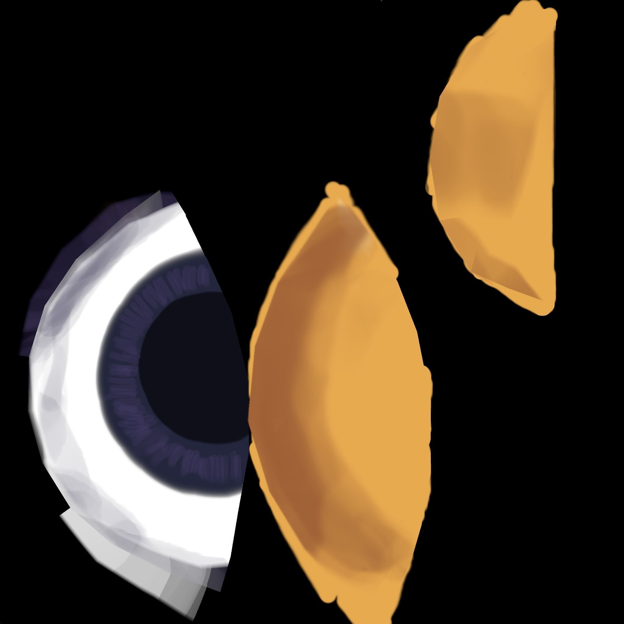 Ginger Cat with a Wizard Outfit Low-poly 3D model_8