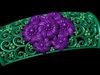 Bracelet 3D model 3D printable | CGTrader