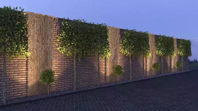 Brick Fence With Pleached Trees 3D model