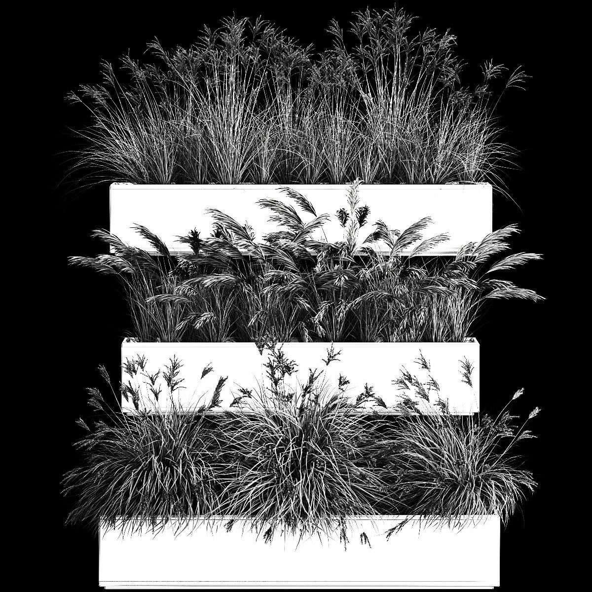 Bushes For Landscape Design Of Outdoor Flowerpots 1132 3D model_6