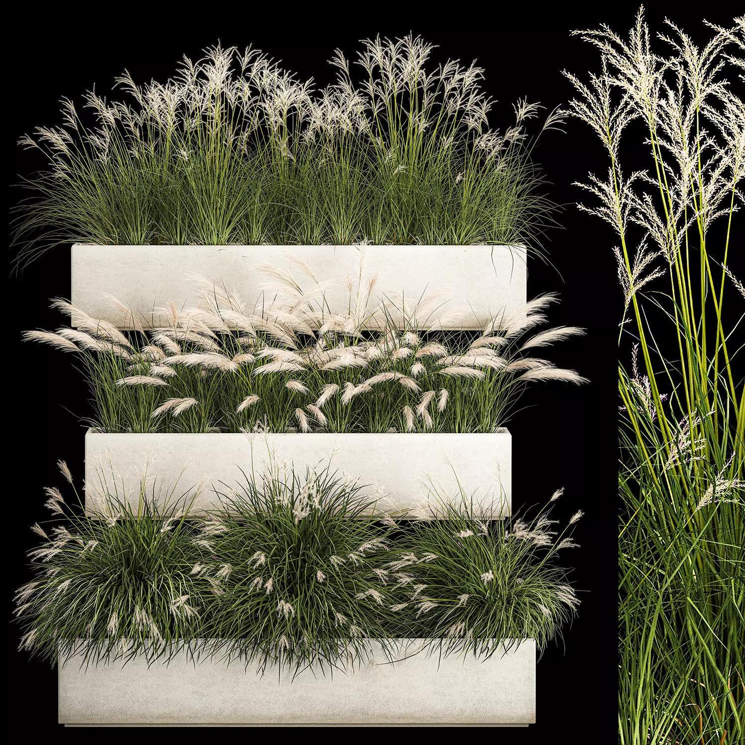 Bushes For Landscape Design Of Outdoor Flowerpots 1132 3D model_0