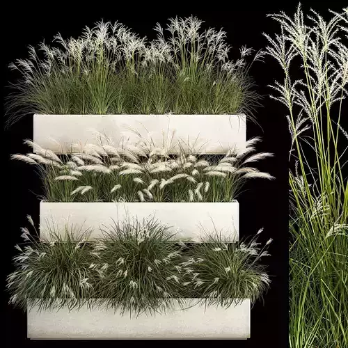Bushes For Landscape Design Of Outdoor Flowerpots 1132 3D model