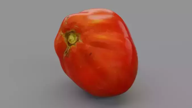 Tomato 05