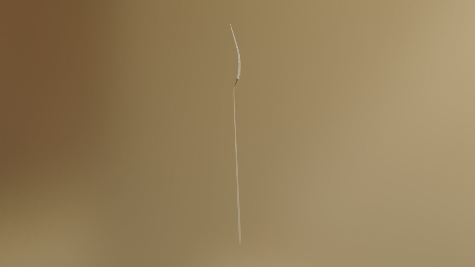 Common Fork Low-poly 3D model_5