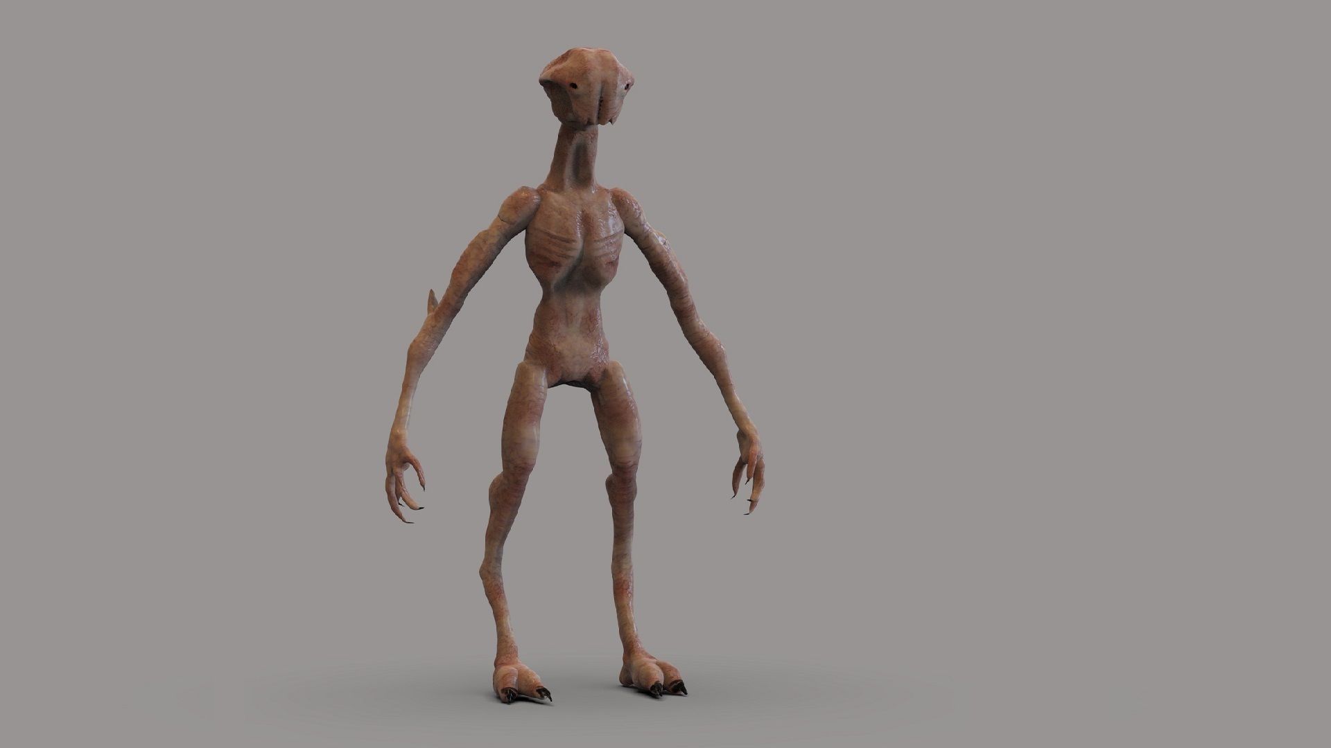 Fantasy Creature Low-poly 3D model_5