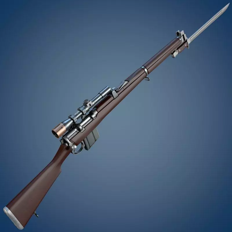 Isaphore 2A1 rifle 3D model_0