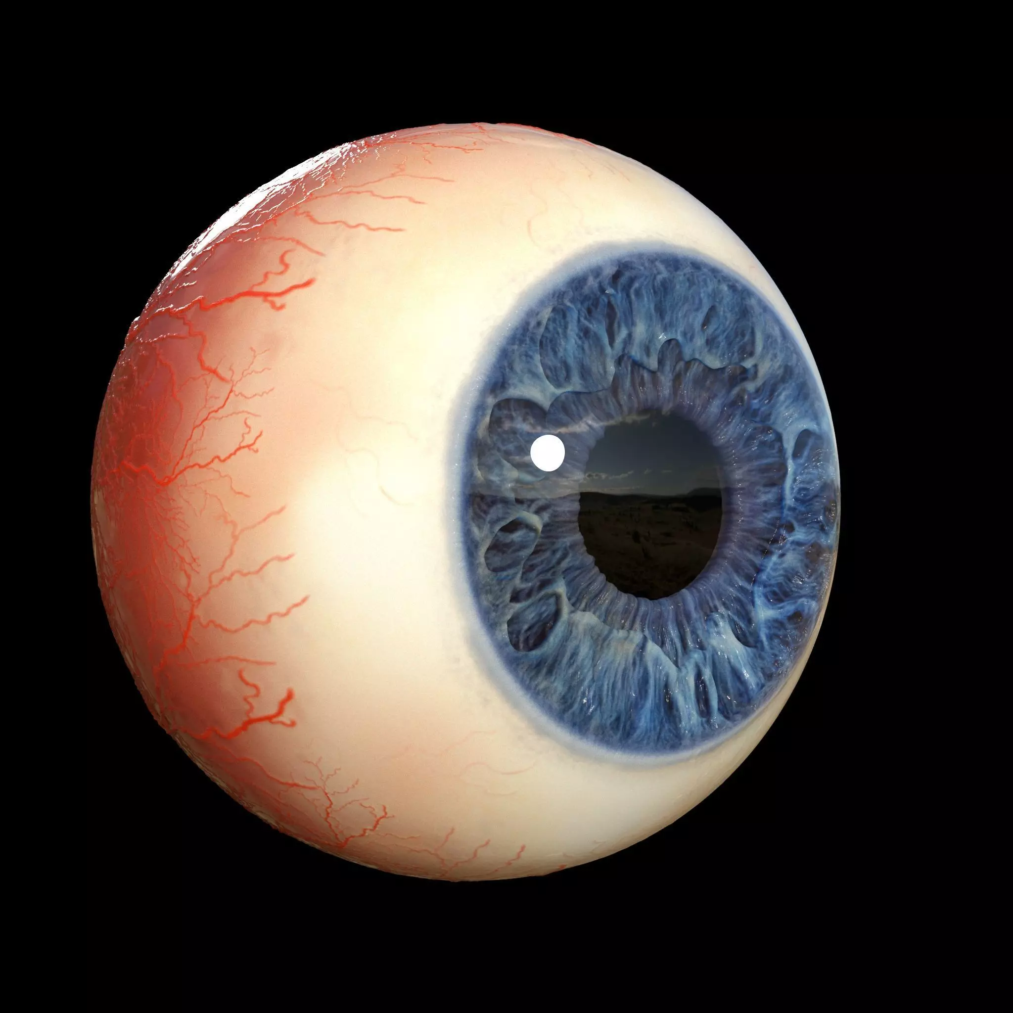 Eye Realistic human 3D model