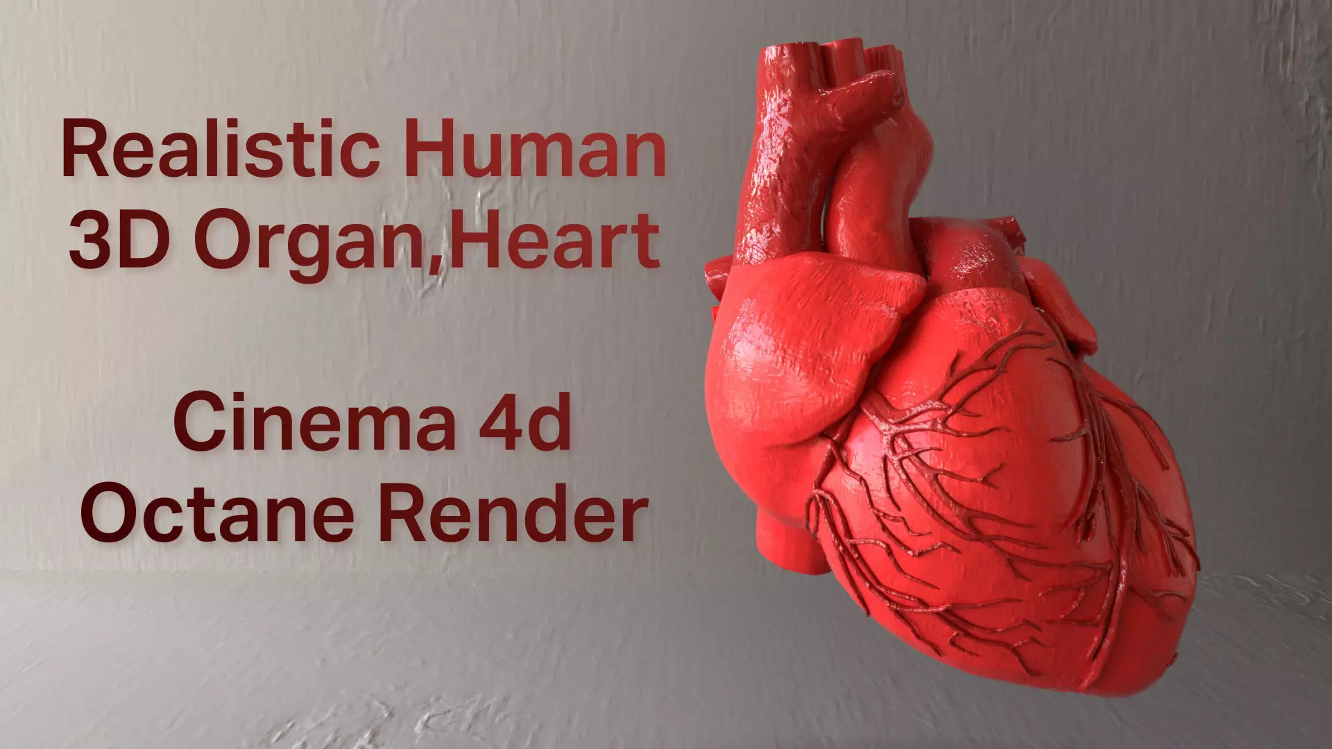 Realistic Human Heart 3D Model V2 Organ  Low-poly 3D model_0