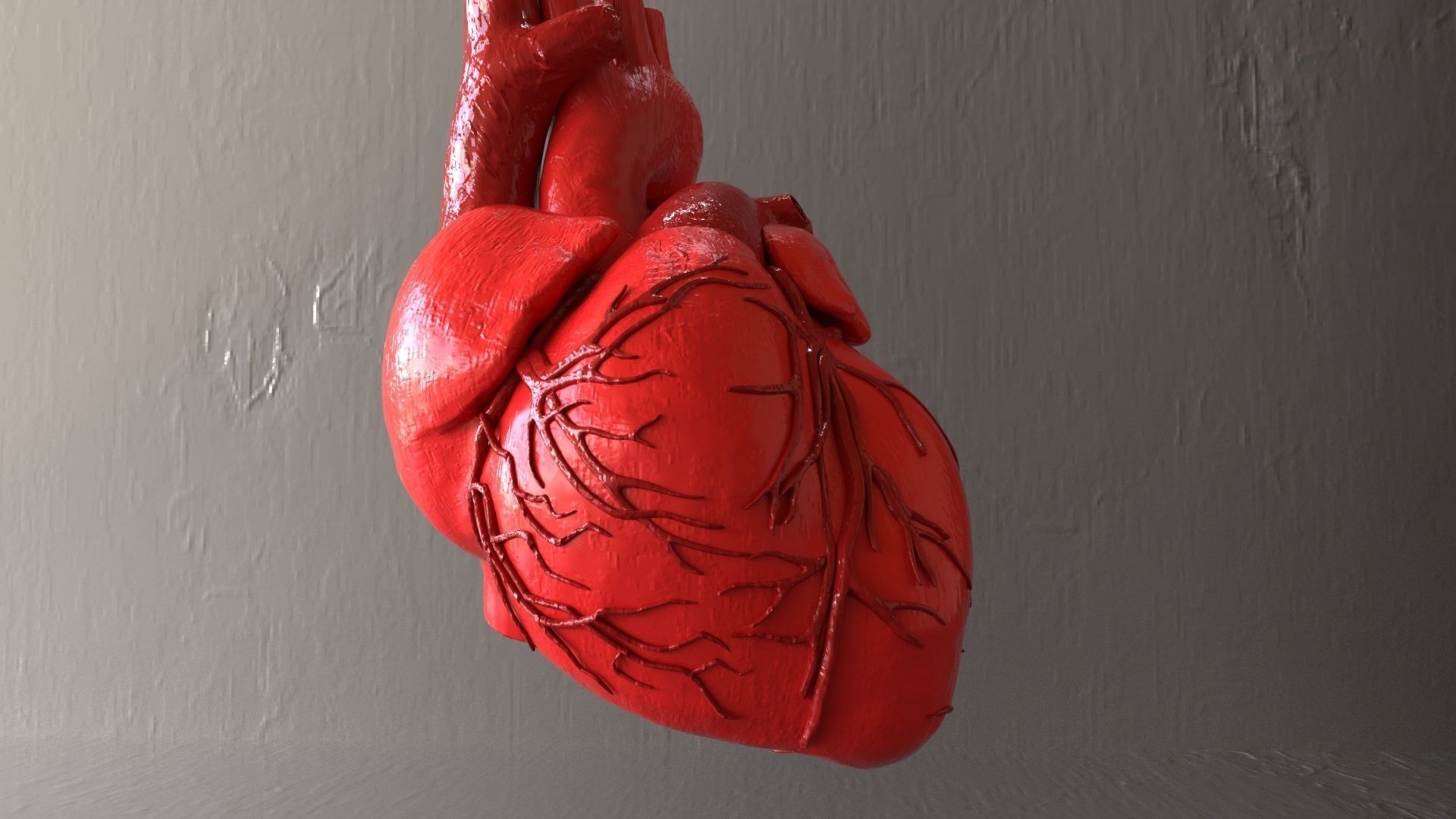 Realistic Human Heart 3D Model V2 Organ  Low-poly 3D model_1
