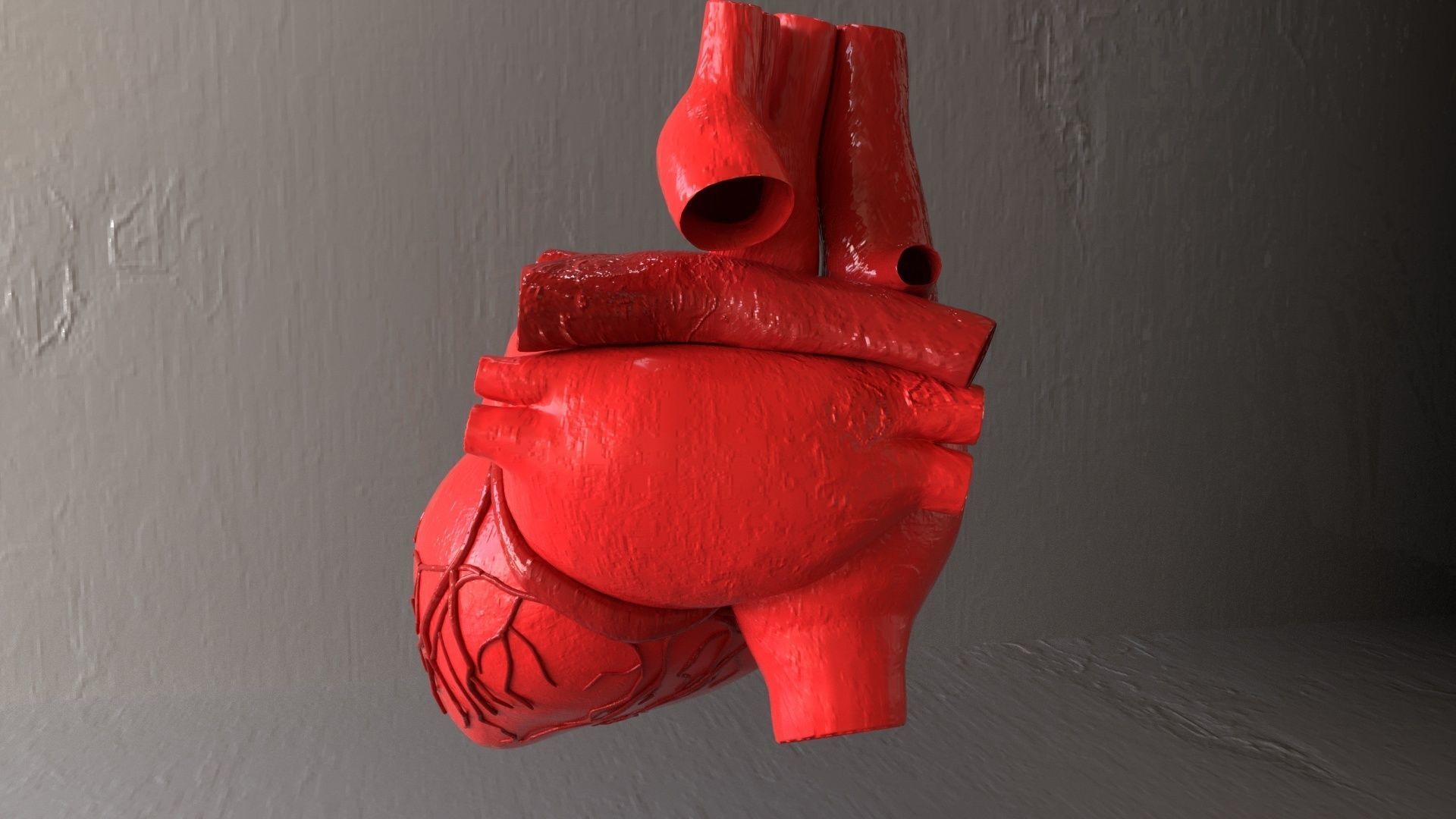 Realistic Human Heart 3D Model V2 Organ  Low-poly 3D model_4